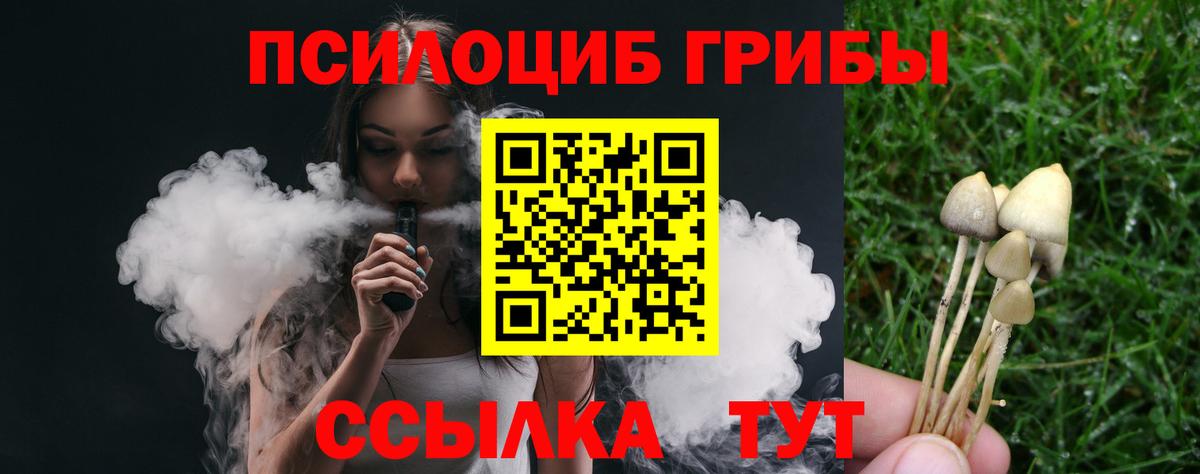 Галлюциногенные грибы Psilocybine cubensis  Вход с VPN  Псилоцибиновые грибы GOLDEN TEACHER  Озёры 